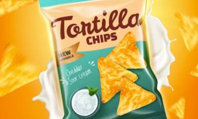 Turtle Chips: Unveiling the Crunchy Delight